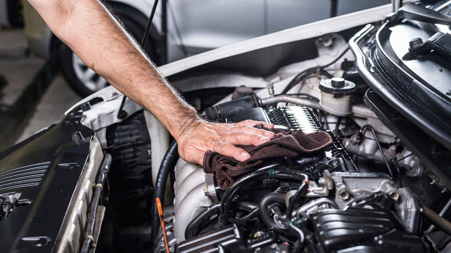 Manutenzione periodica auto: piani Volkswagen e pezzi sostitutivi