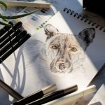 Regali esclusivi per amanti degli animali: quadri, stampe e ritratti su misura