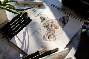 Regali esclusivi per amanti degli animali: quadri, stampe e ritratti su misura